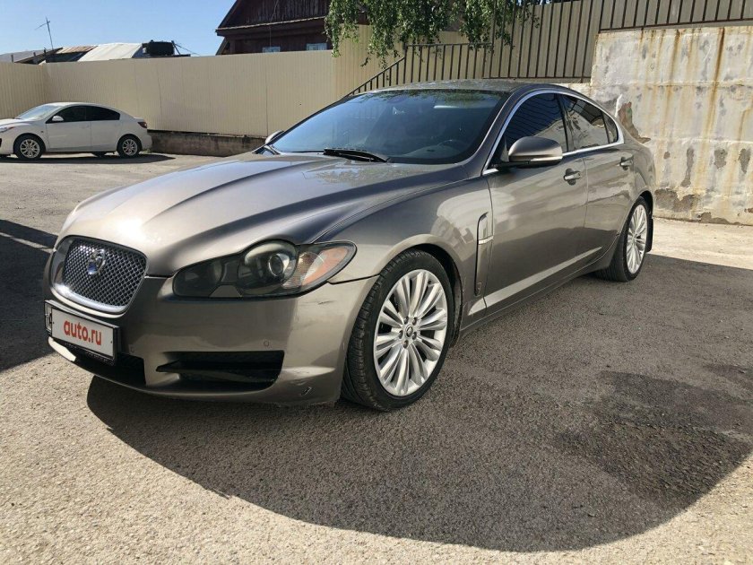 Ягуар купить