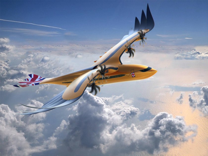 Птицы и Авиация