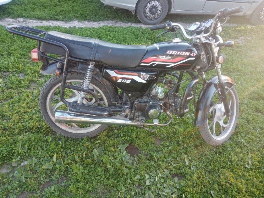 Орион Грифон