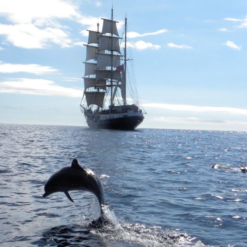 Парусник в море