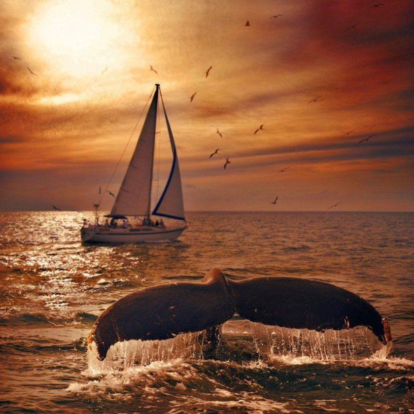 Лодка в океане