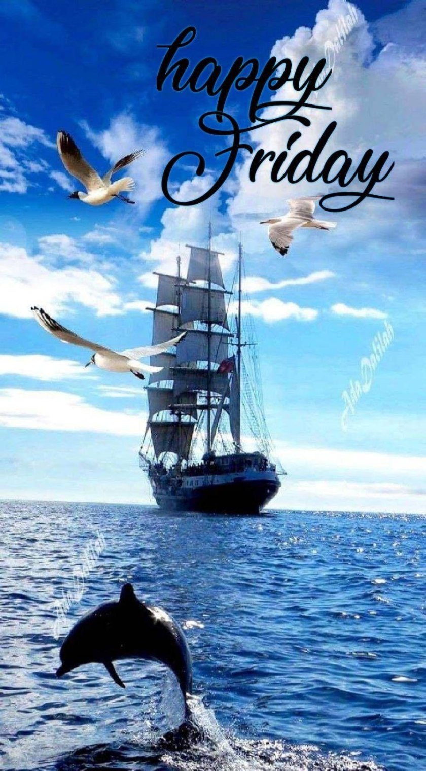 Море с дельфинами и чайками