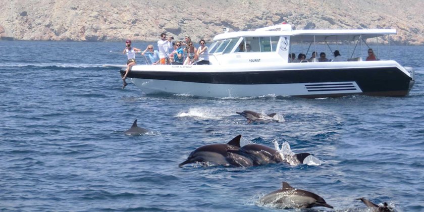 Дельфины и катер
