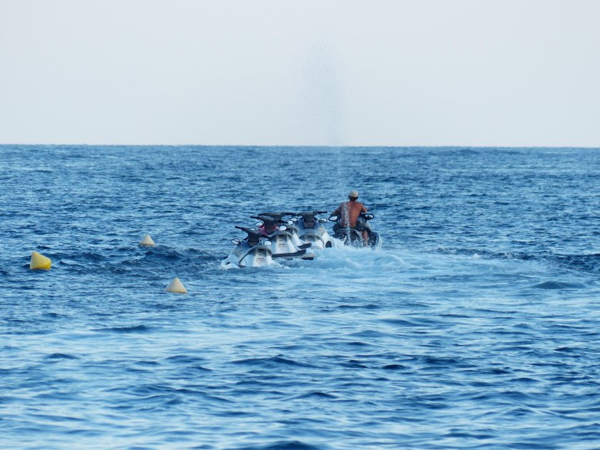 Лодка и дельфины