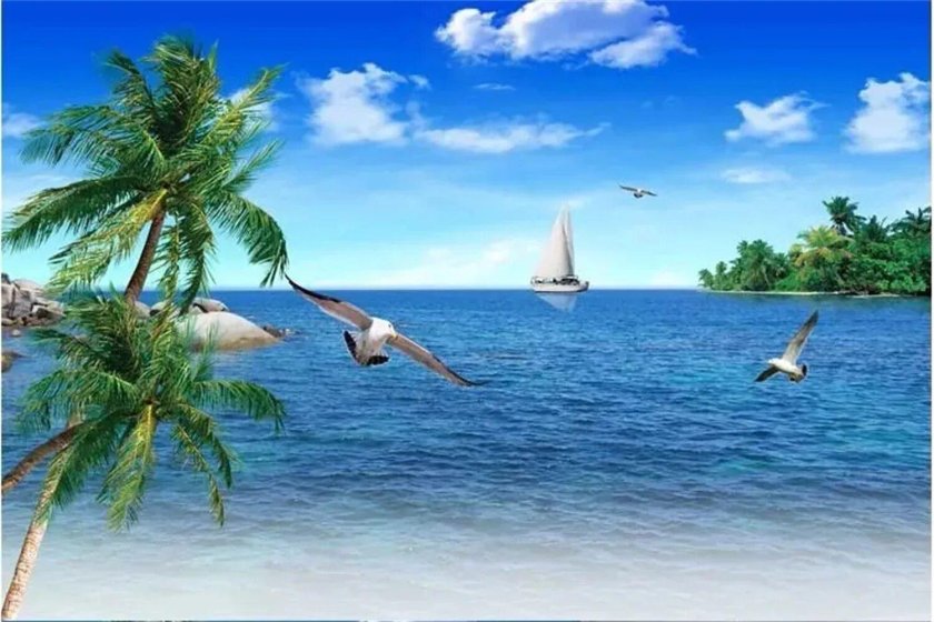 Море пальмы Чайки
