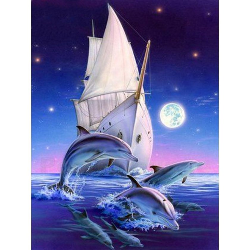 Море дельфины корабль