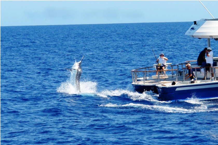 Морская рыбалка