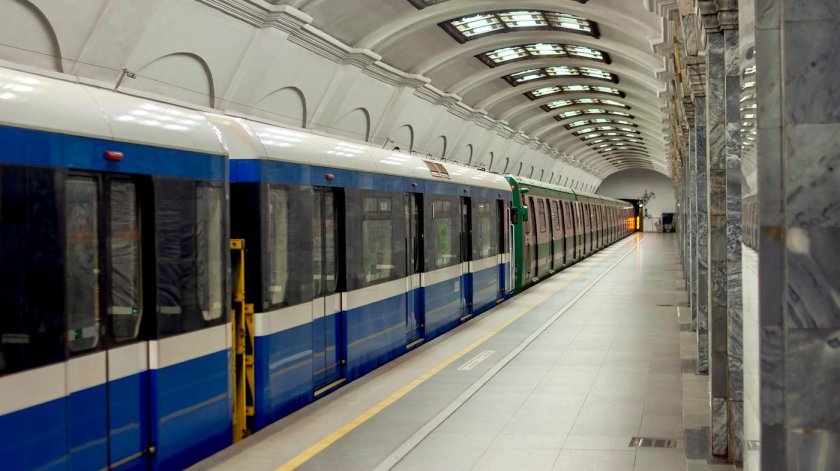 81-556-M TM Neo 81-556-m