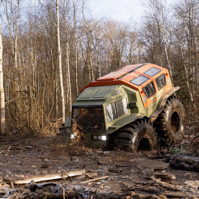 Шерп Сосновый Бор