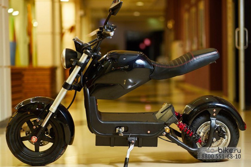 Citycoco Smarda 2000w