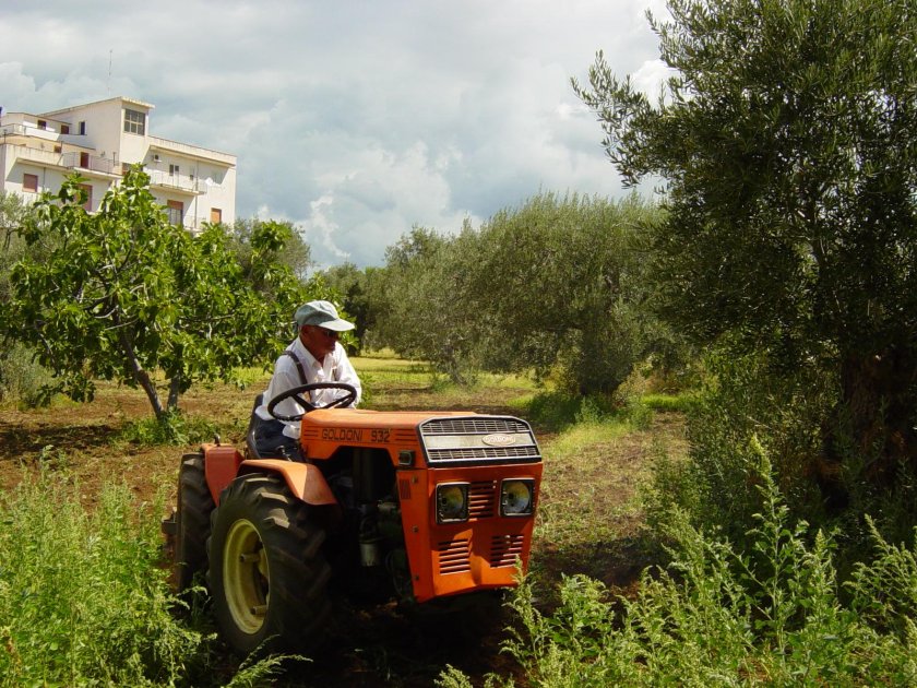 Мотоблок Goldoni