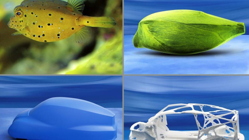 Кузовок кубик рыба