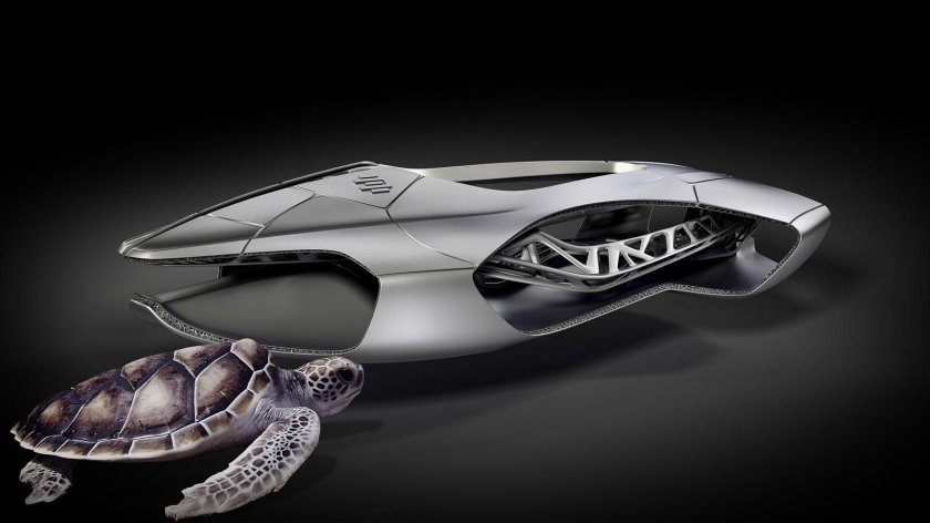 Бионика концепт