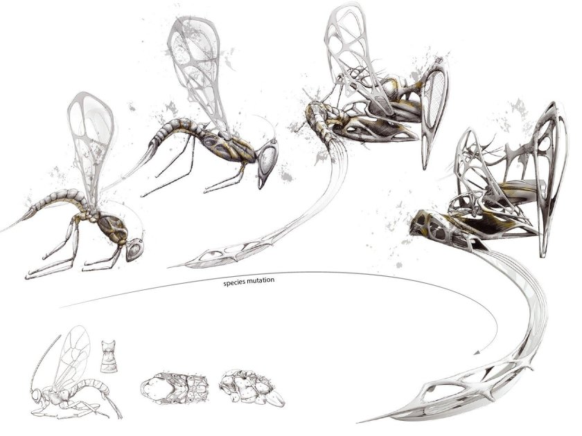 Бионика клаузура