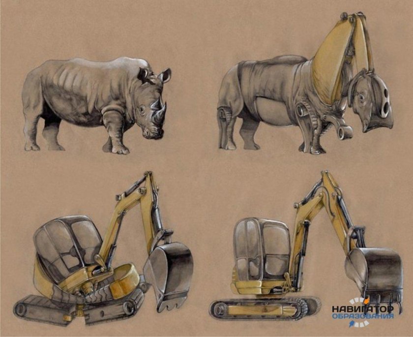 Трансформация животных