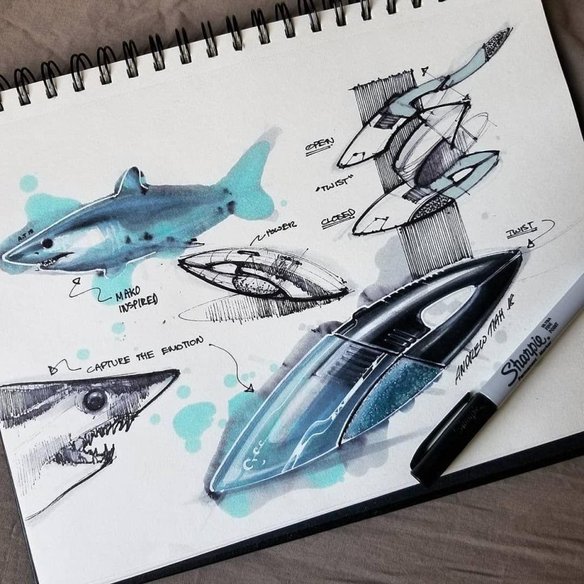 Бионика клаузура