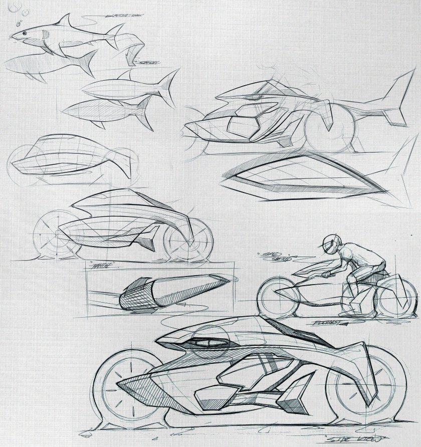 Бионика в графике