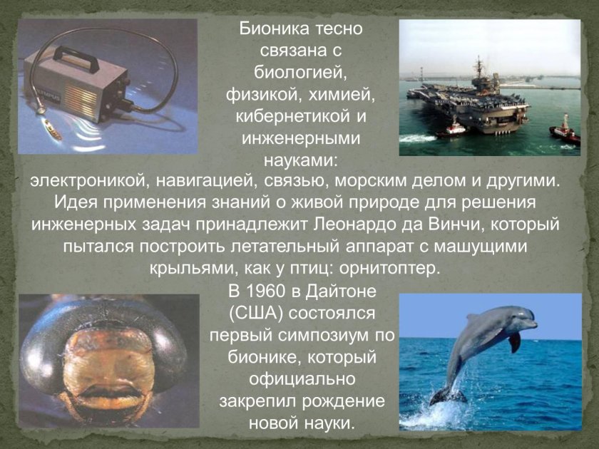 Бионика достижения в биологии