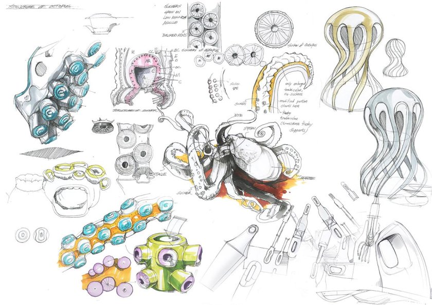 Бионические зарисовки