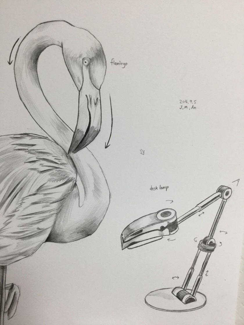 Бионика в промышленном дизайне