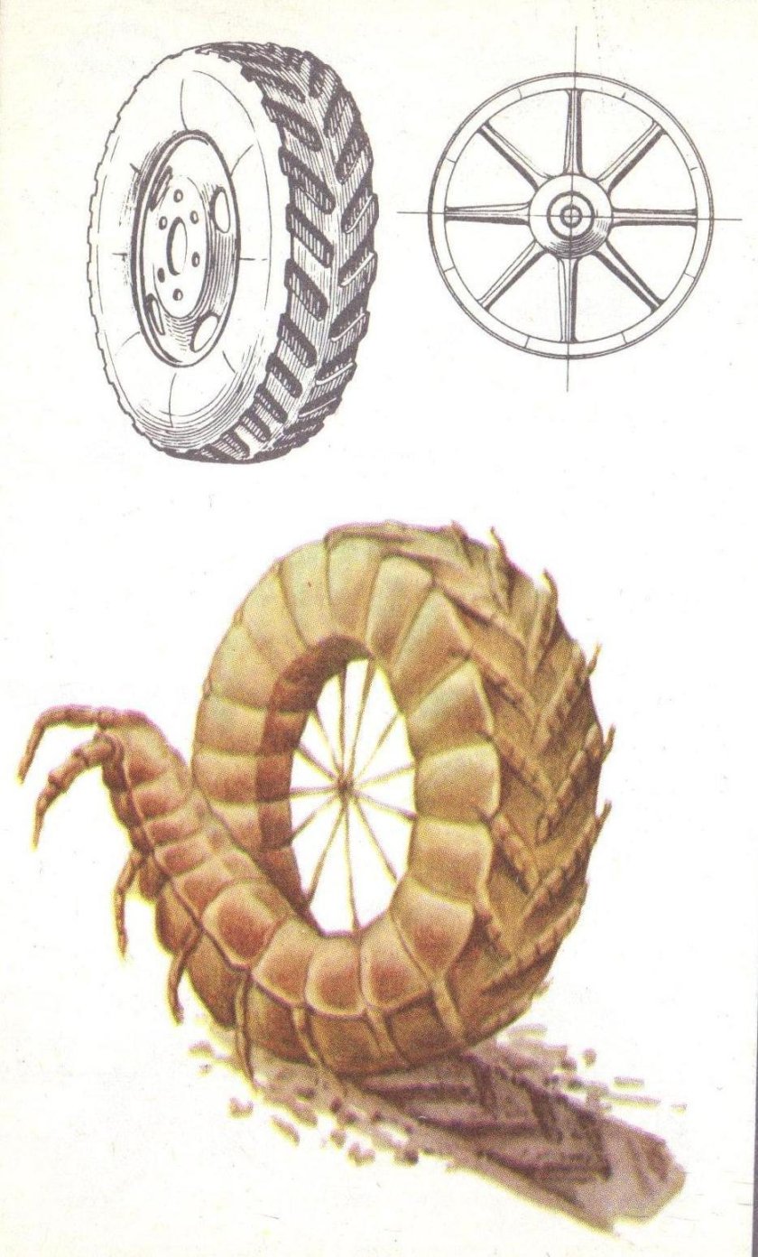 Бионика колесо