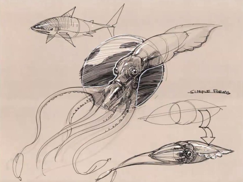 Бионика клаузура