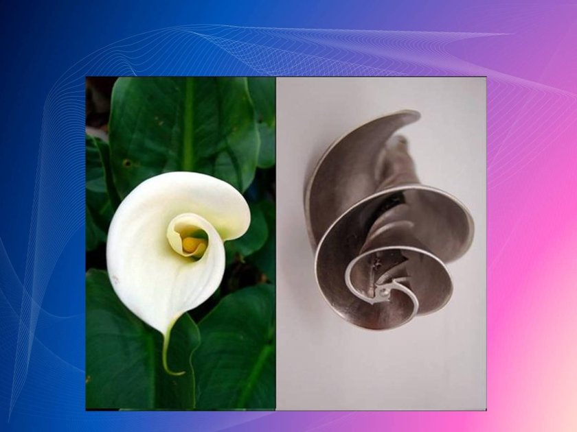 Бионика цветы