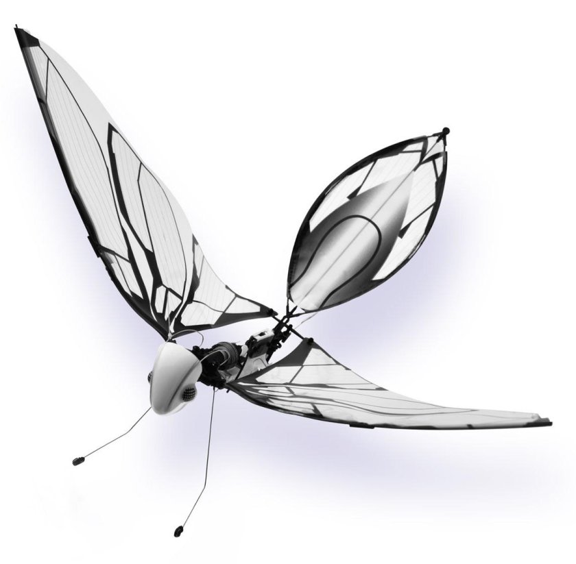 Бионика квадрокоптер