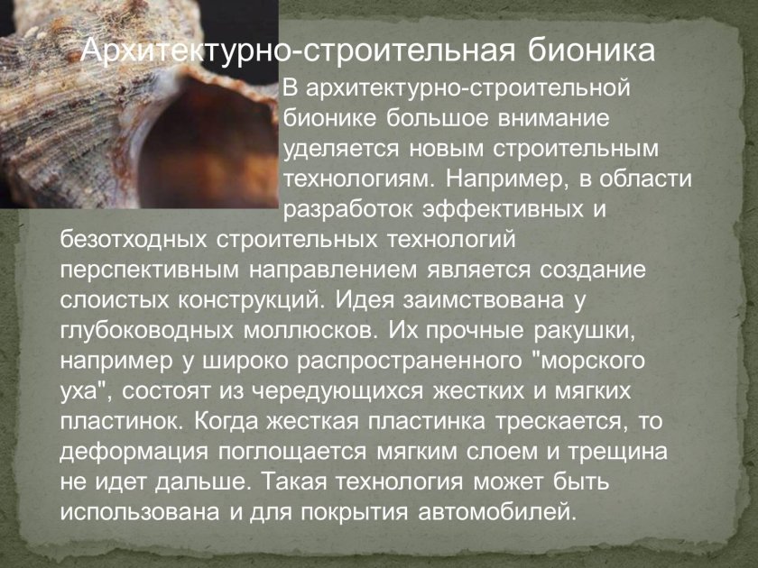 Бионика это в биологии