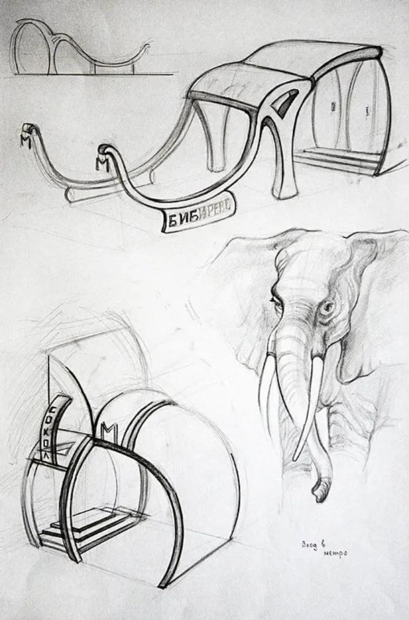 Бионика клаузура