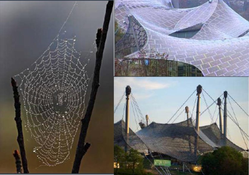 Бионика и биомиметика