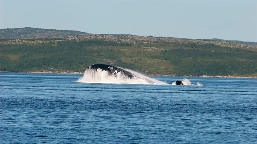 Подводная лодка в Баренцевом море