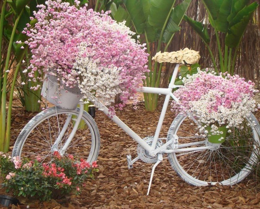 Велосипед в саду декор