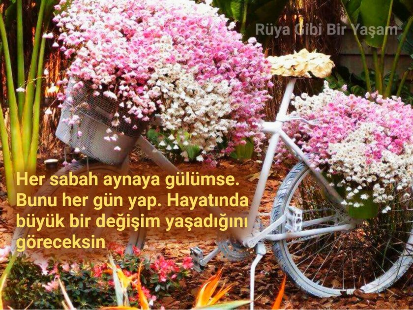 Велосипед в саду декор