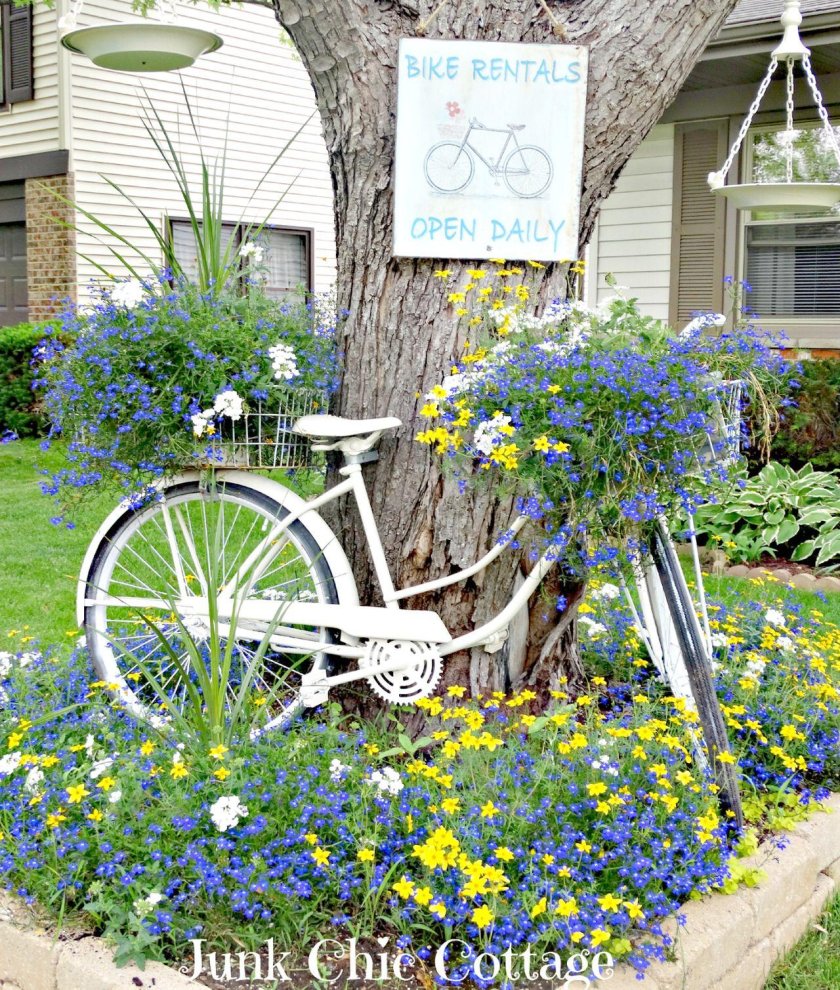 Петуния Прованс