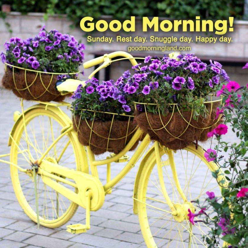 Велосипед в саду декор