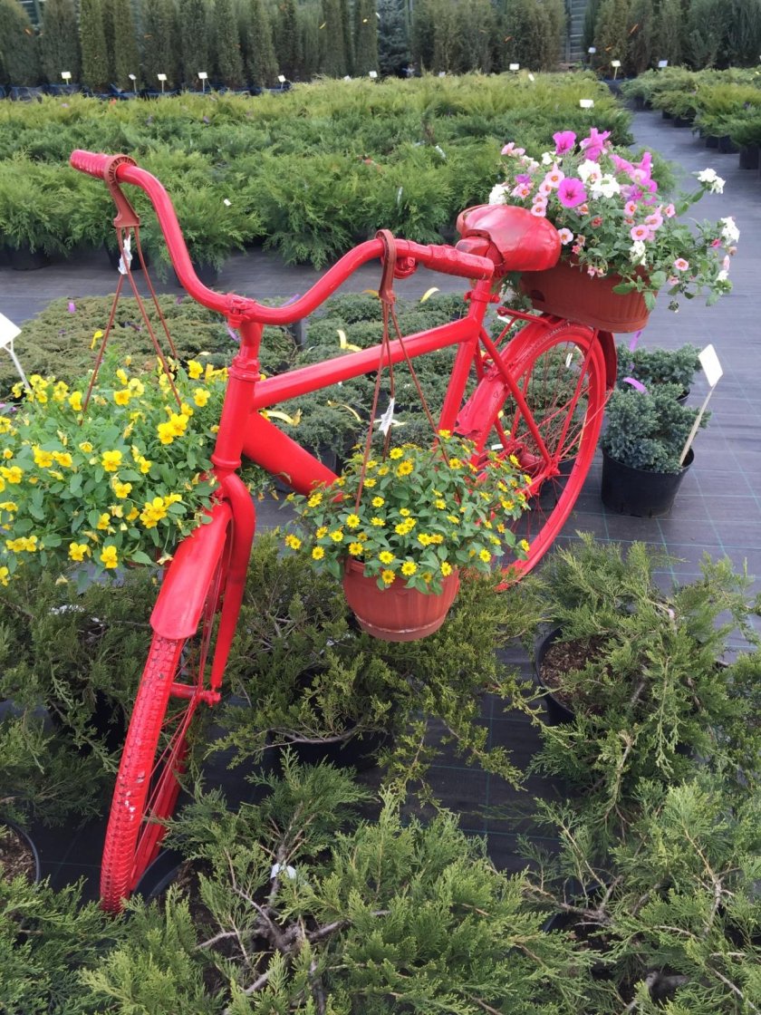 Велосипед в саду декор