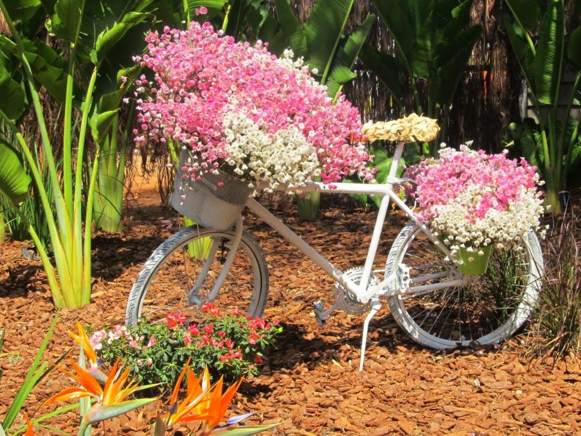 Велосипед цветник