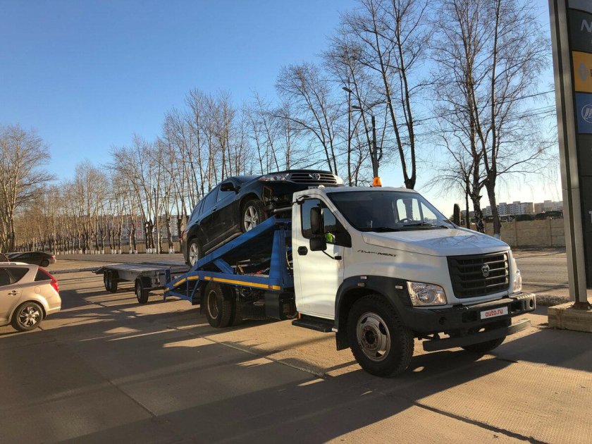 Газон Некст 3310