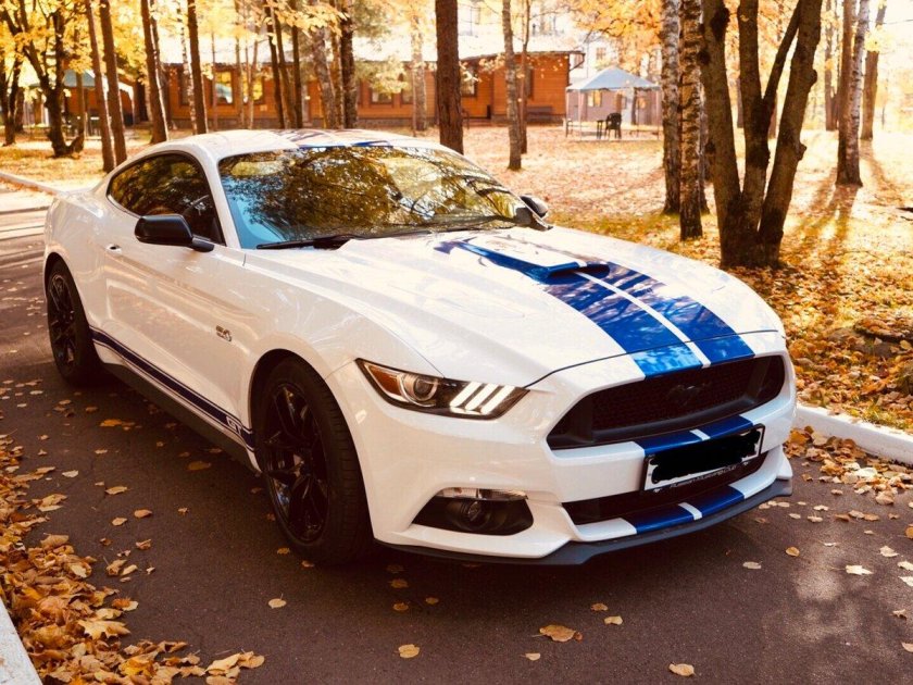 Ford Mustang gt белый