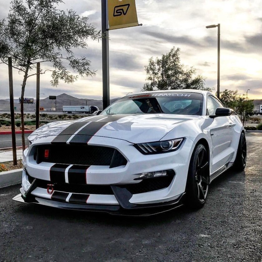 Ford mustang shelby gt350