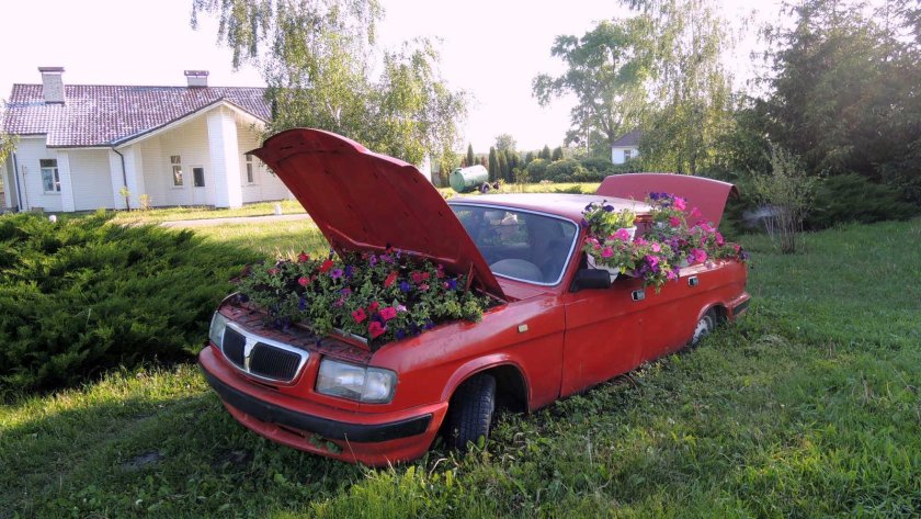 Машина клумба