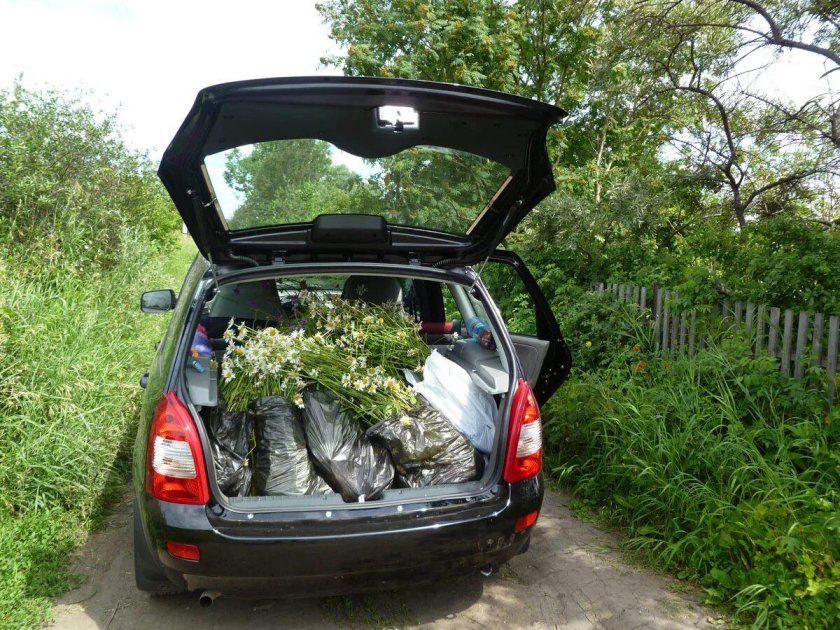 Калина универсал с открытым багажником