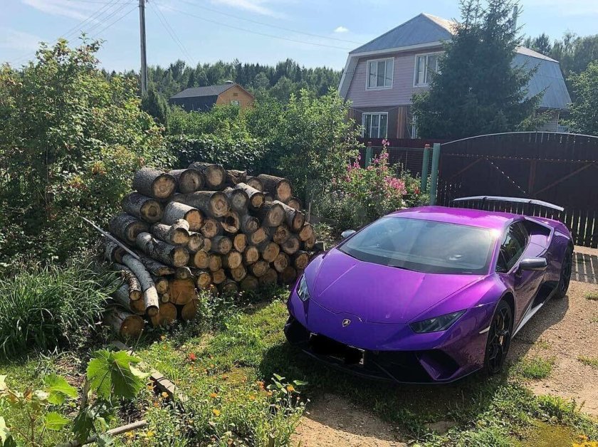 Ламборгини на дереве