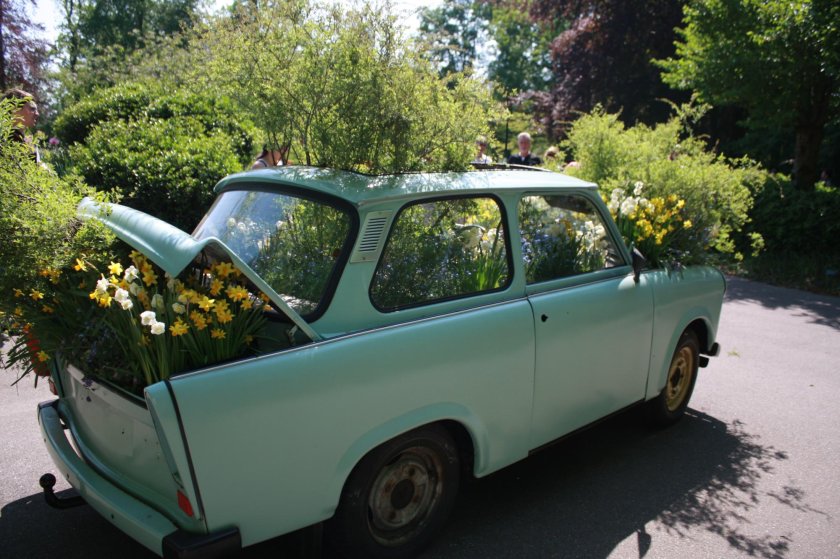 Рассада в машине