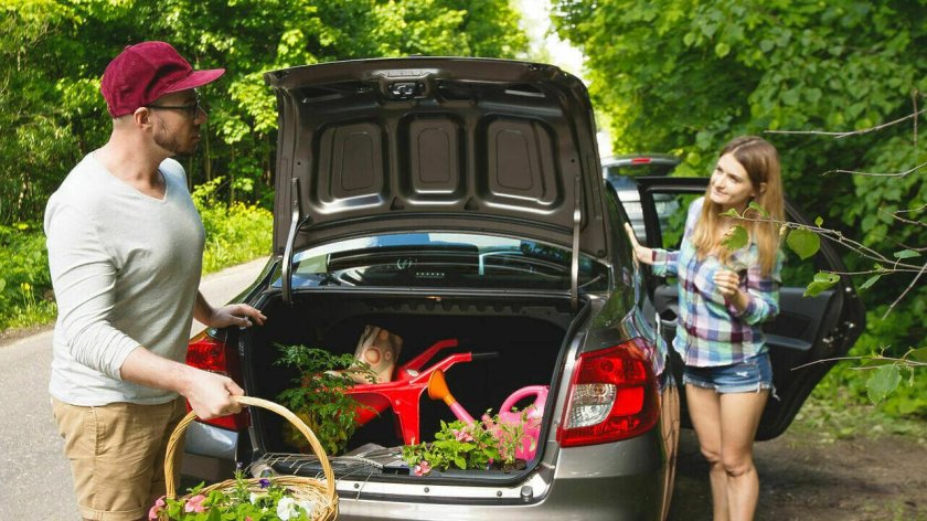 Дача машина