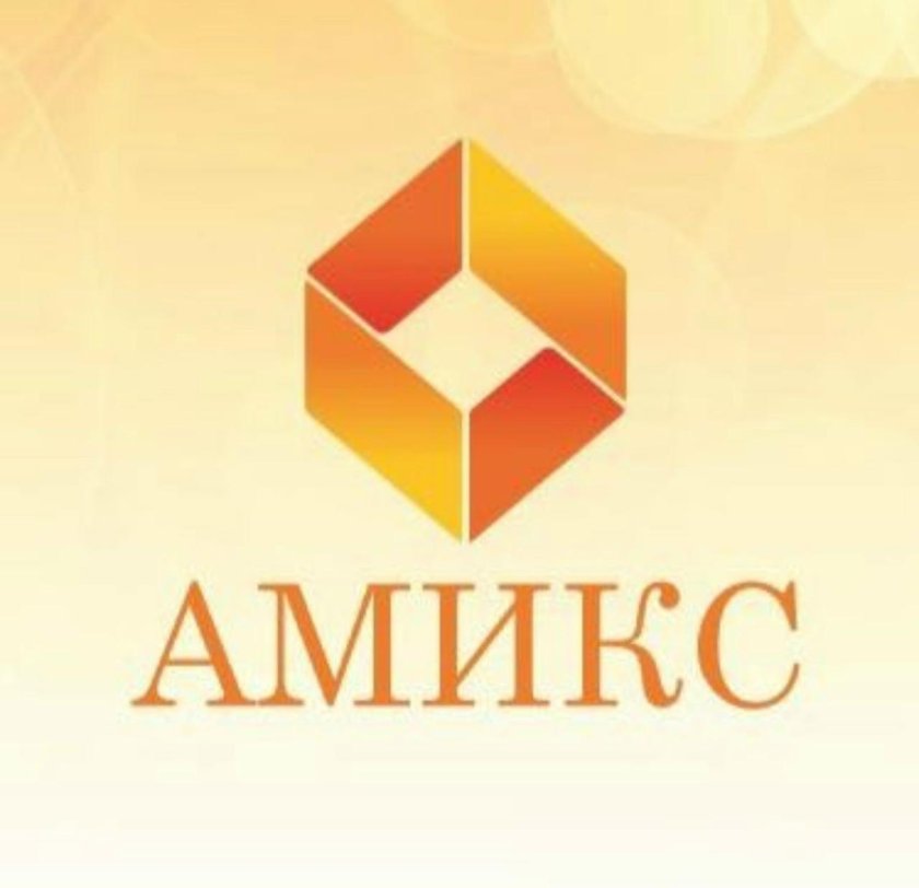 ООО Амикс