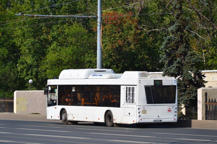 Самарские автобусы маз 203