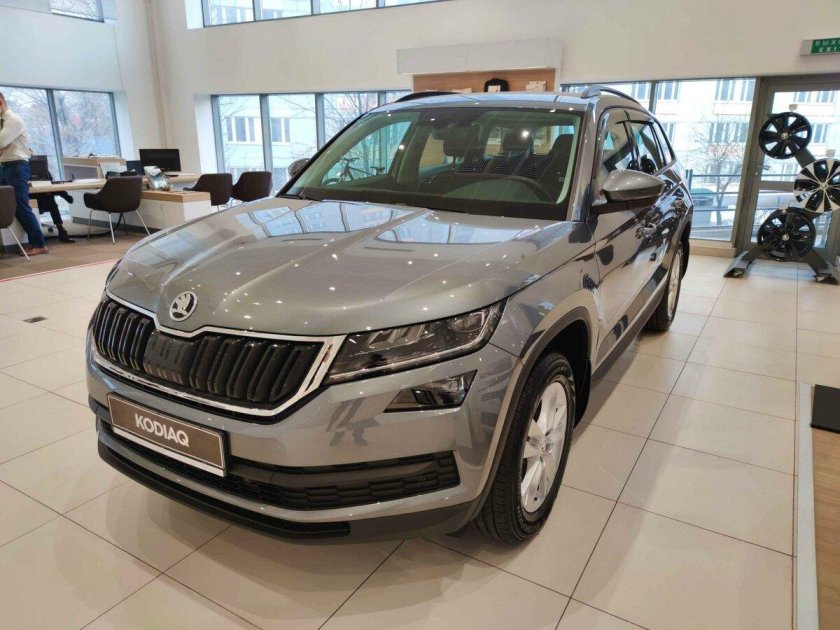Skoda kodiaq 2016 — 2022 i серый