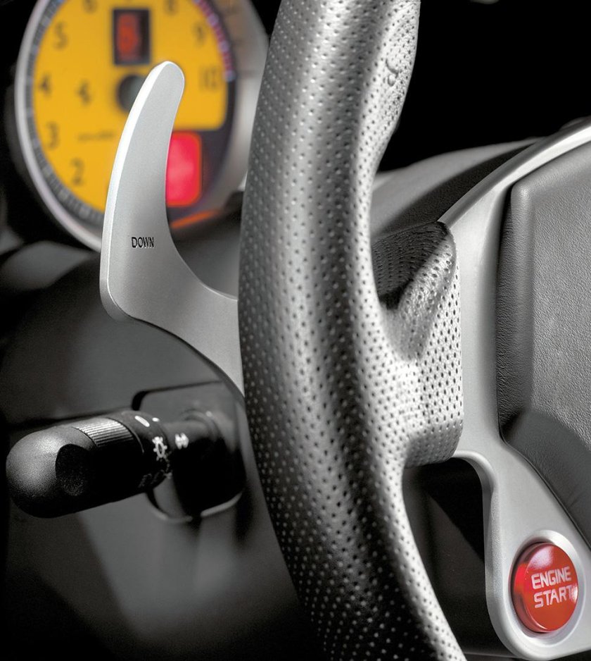 Подрулевые лепестки